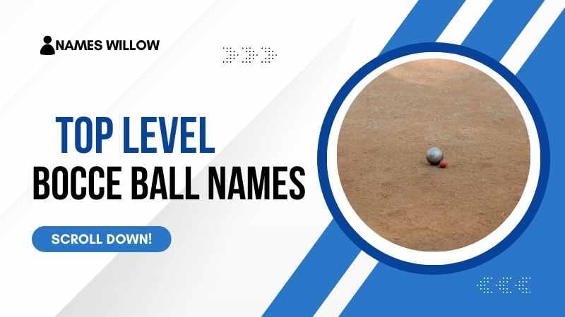 260+ Great Bocce Ball Team Names That Will Make You the Talk of the Court! 2 best and unique Bocce ball team names