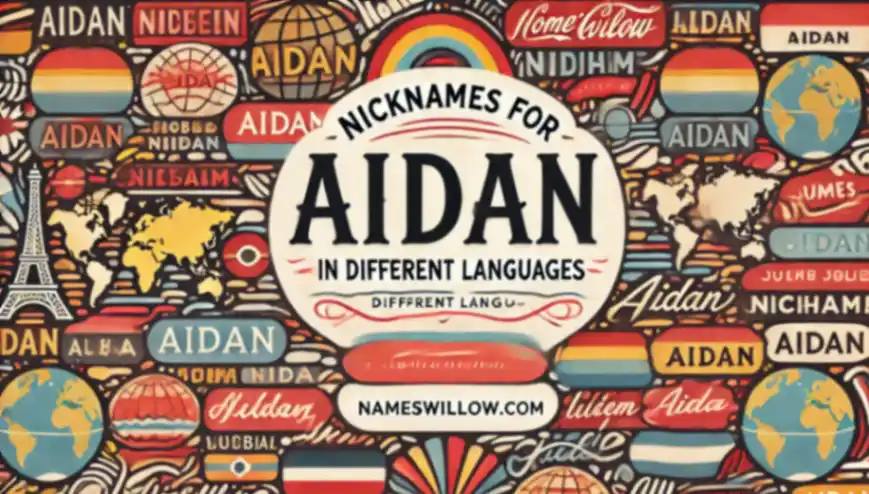 400+ Adorable Nicknames for Aidan: Cool, Funny, and Cute Ideas for Every Personality 5 A stylish and cultural digital graphic design featuring the text Nicknames for Aidan in Different Languages in bold elegant typography